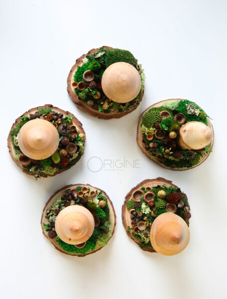 champignon-sous-bois-vegetaux-stabilisé-decoration-automne-foret-origine-atelier-floral3