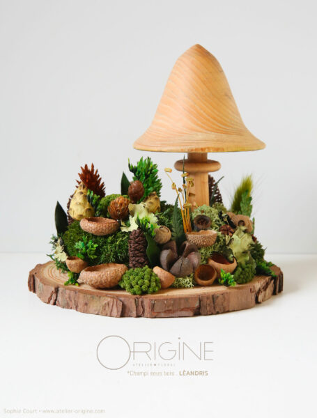 champignon-sous-bois-vegetaux-stabilisé-decoration-automne-foret-origine-atelier-floral3