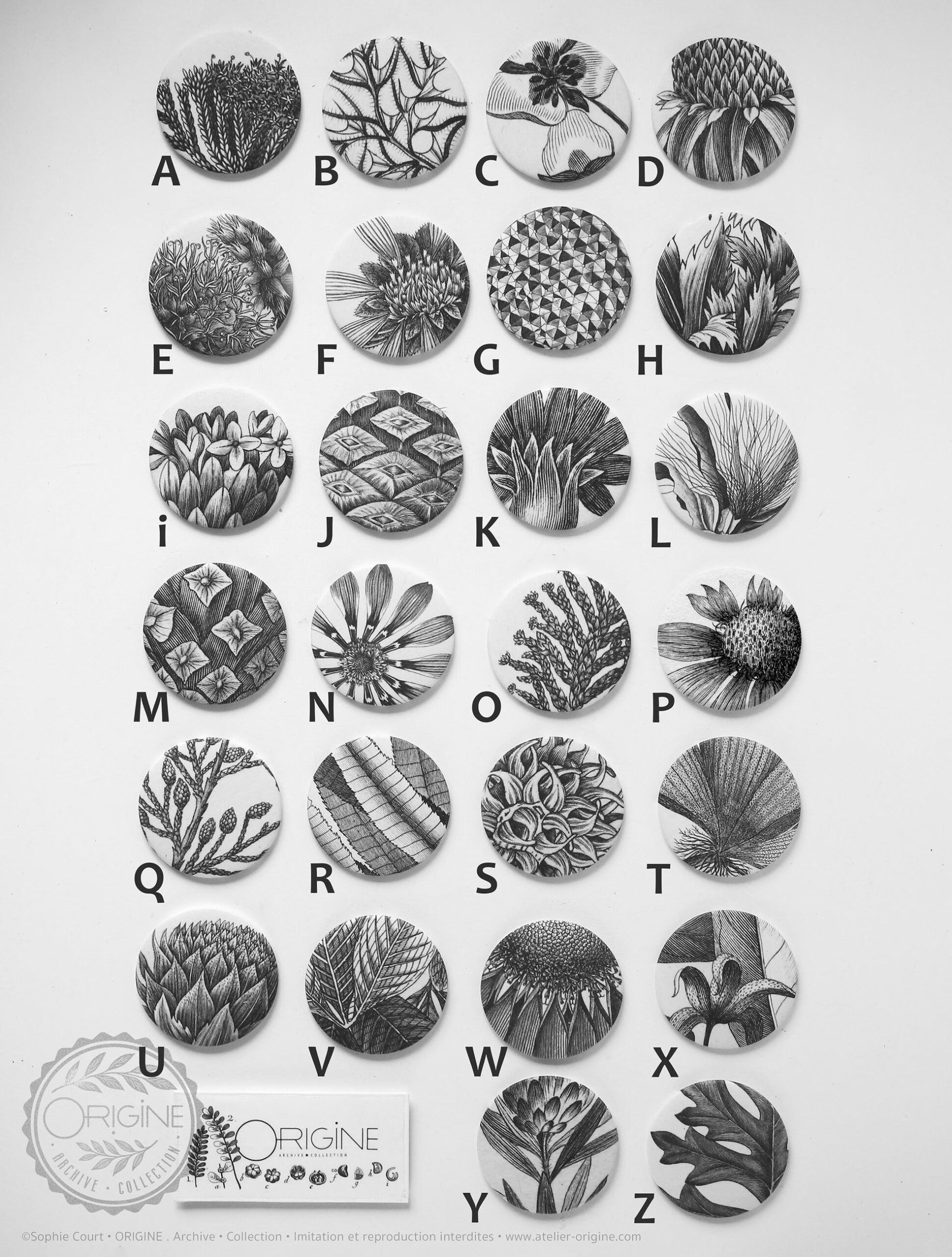 miroirs-magnets-bijoux-muraux-planche-botanique-coquillage-origine-archive-collection-sophie-court.13-LETTRES