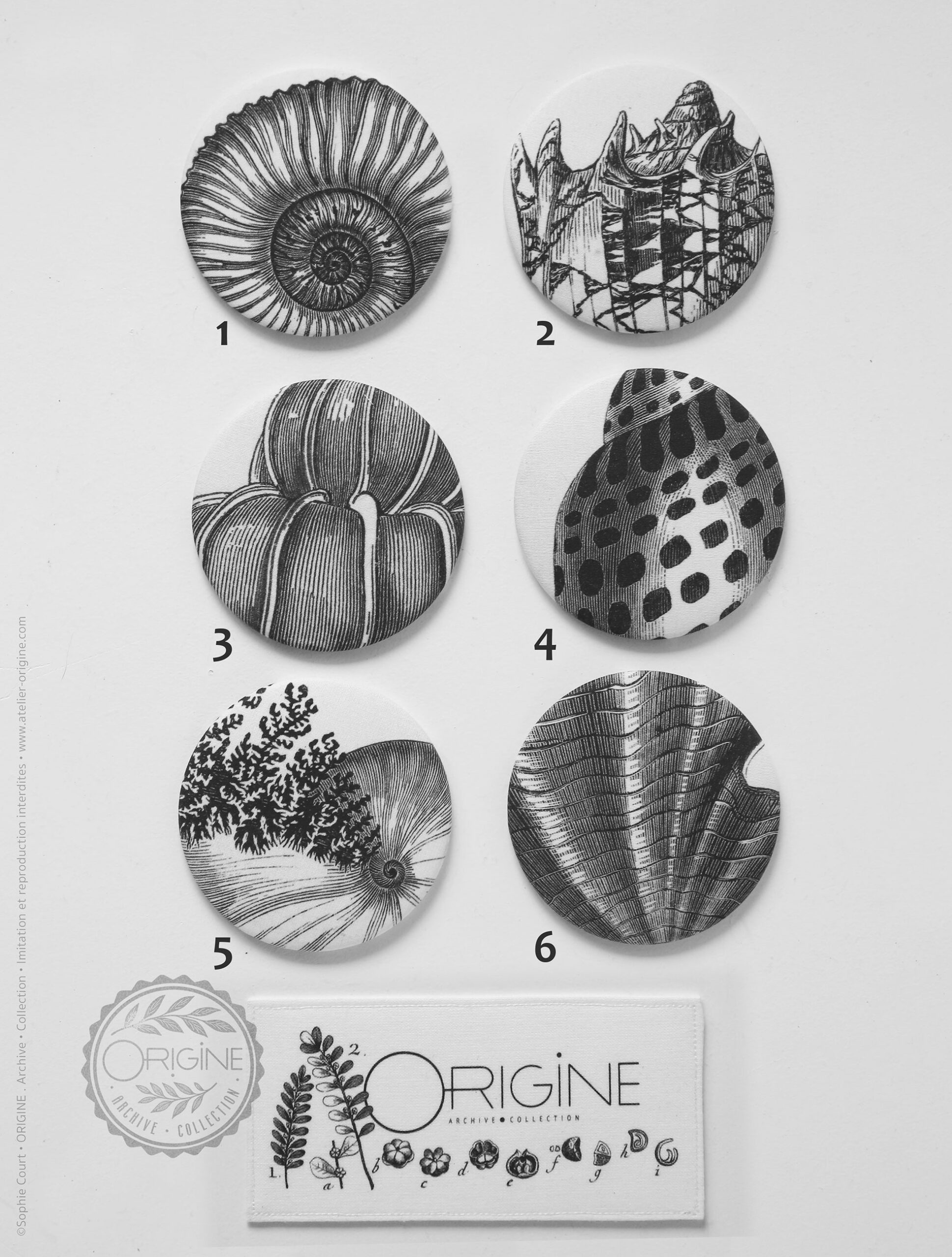 miroirs-magnets-bijoux-muraux-planche-botanique-coquillage-origine-archive-collection-sophie-court.14numero