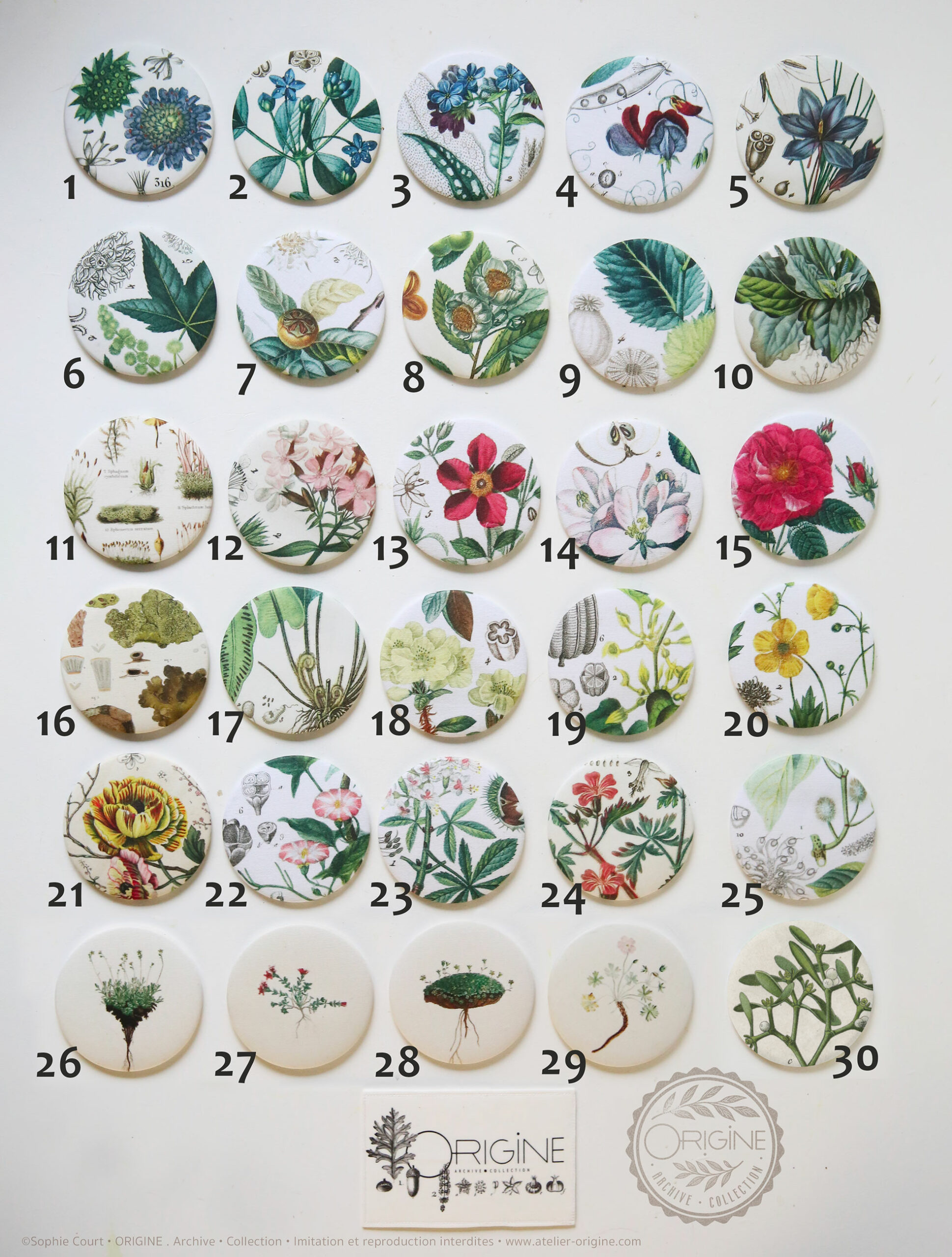 miroirs-magnets-bijoux-muraux-planche-botanique-coquillage-origine-archive-collection-sophie-court.15-numeros