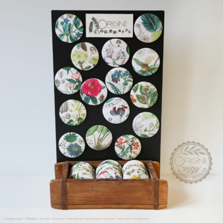 miroirs-magnets-bijoux-muraux-planche-botanique-coquillage-origine-archive-collection-sophie-court.3