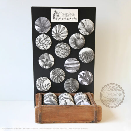 miroirs-magnets-bijoux-muraux-planche-botanique-coquillage-origine-archive-collection-sophie-court.4