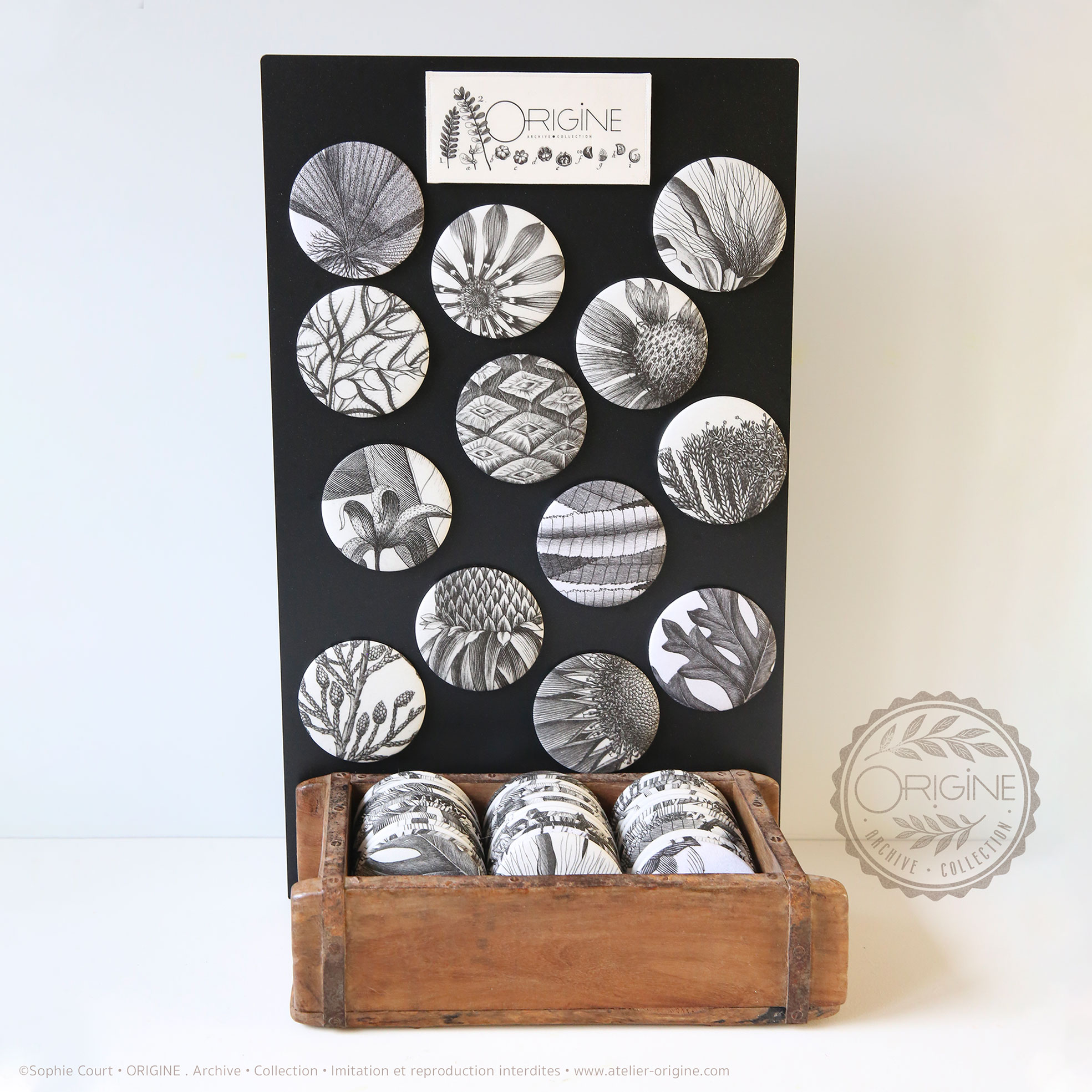 miroirs-magnets-bijoux-muraux-planche-botanique-coquillage-origine-archive-collection-sophie-court.4