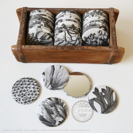 miroirs-magnets-bijoux-muraux-planche-botanique-coquillage-origine-archive-collection-sophie-court.6