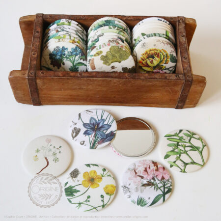 miroirs-magnets-bijoux-muraux-planche-botanique-coquillage-origine-archive-collection-sophie-court.6