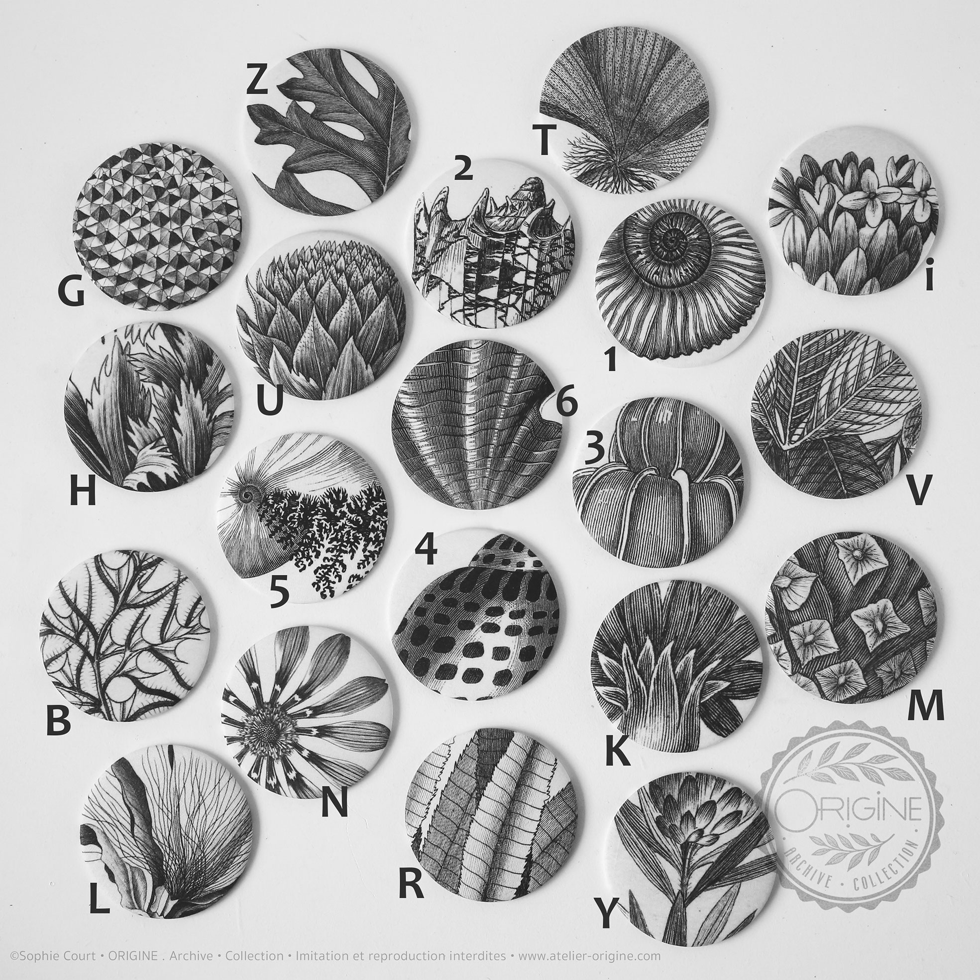 miroirs-magnets-bijoux-muraux-planche-botanique-coquillage-origine-archive-collection-sophie-court.8-lettres