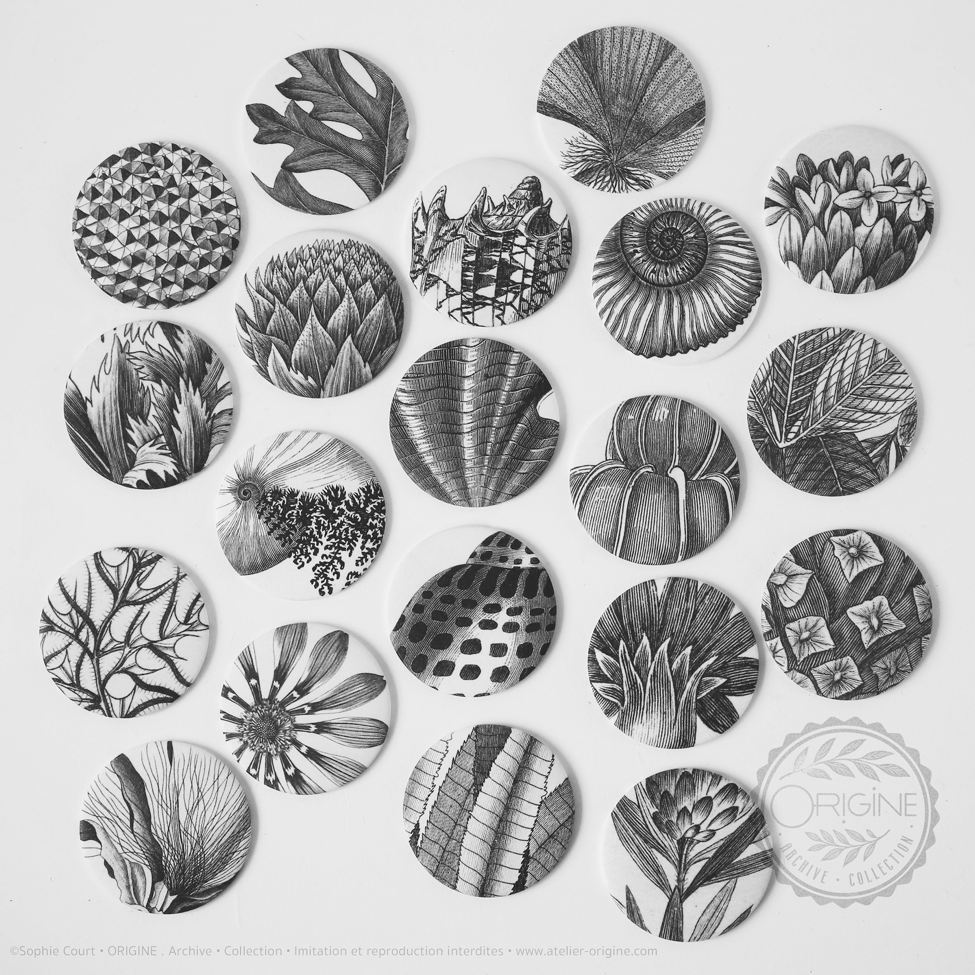 miroirs-magnets-bijoux-muraux-planche-botanique-coquillage-origine-archive-collection-sophie-court.8