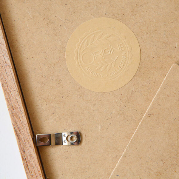 planche-botanique-origine-archive-collection-sophie-court-cadre-en-chene3