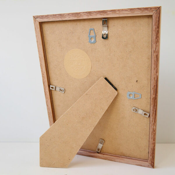 planche-botanique-origine-archive-collection-sophie-court-cadre-en-chene3