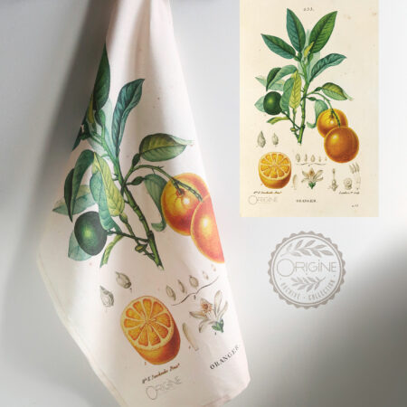 torchon-planche-botanique-ancienne-gravure-origine-archive-collection-sophie-court17