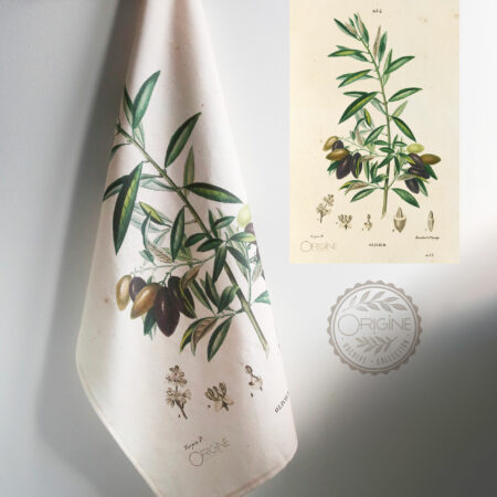 torchon-planche-botanique-ancienne-gravure-origine-archive-collection-sophie-court17