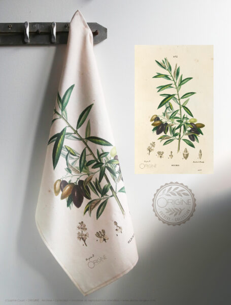 torchon-planche-botanique-ancienne-gravure-origine-archive-collection-sophie-court2