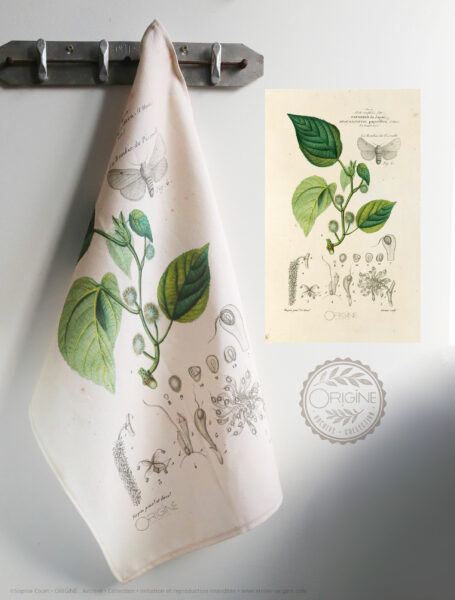 torchon-planche-botanique-ancienne-gravure-origine-archive-collection-sophie-court2