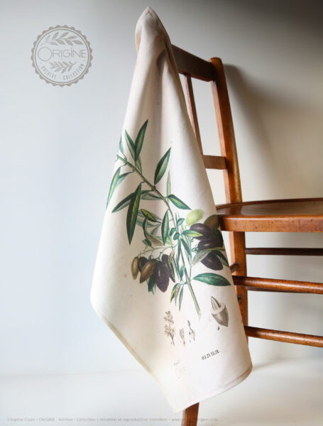 torchon-planche-botanique-ancienne-gravure-origine-archive-collection-sophie-court2