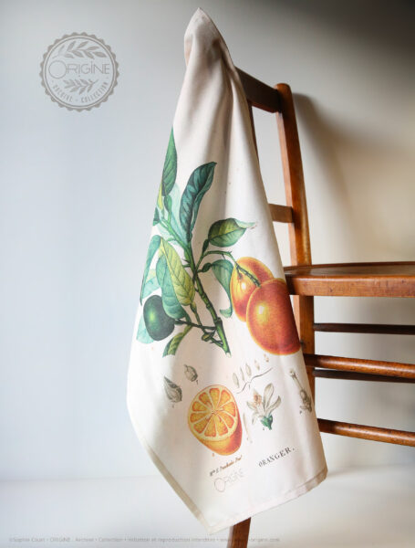 torchon-planche-botanique-ancienne-gravure-origine-archive-collection-sophie-court2