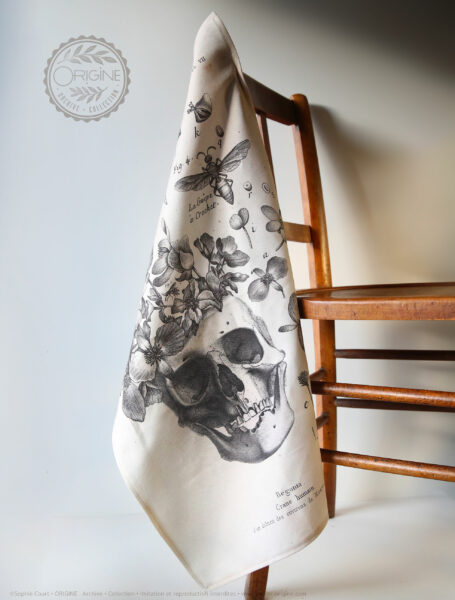 torchon-planche-botanique-ancienne-gravure-origine-archive-collection-sophie-court2