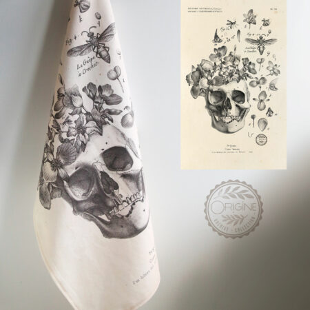 torchon-planche-botanique-ancienne-gravure-origine-archive-collection-sophie-court3