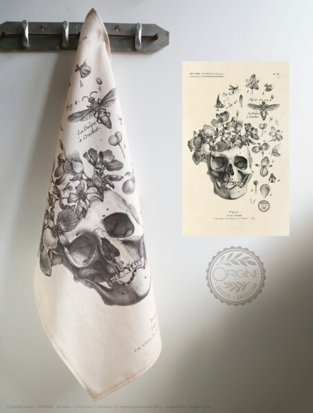 torchon-planche-botanique-ancienne-gravure-origine-archive-collection-sophie-court2