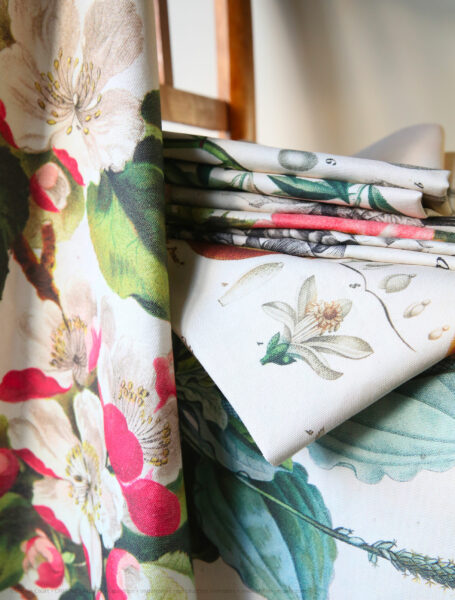 torchon-planche-botanique-ancienne-gravure-origine-archive-collection-sophie-court2