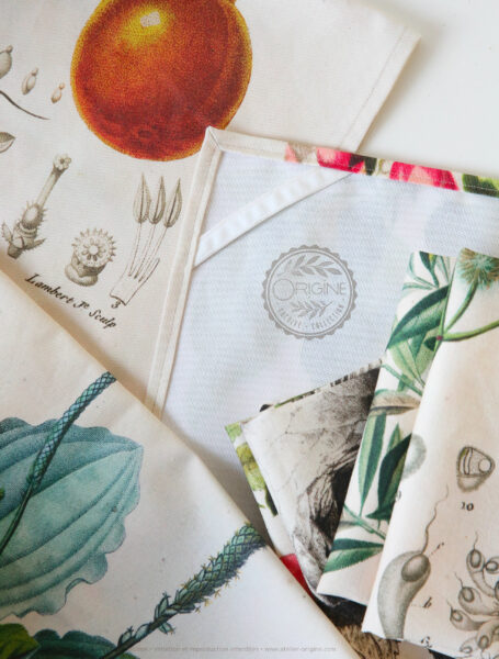 torchon-planche-botanique-ancienne-gravure-origine-archive-collection-sophie-court2