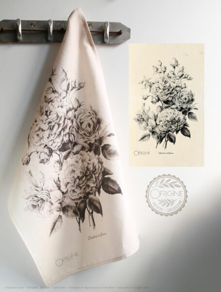 torchon-planche-botanique-ancienne-gravure-origine-archive-collection-sophie-court2