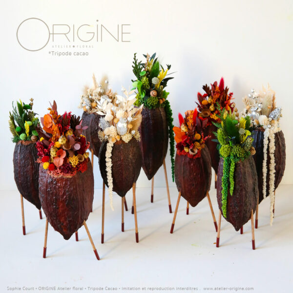 décoration-végétale-tripode-cacao-feve-de-cacao-origine-atelier-floral-sophie-court-