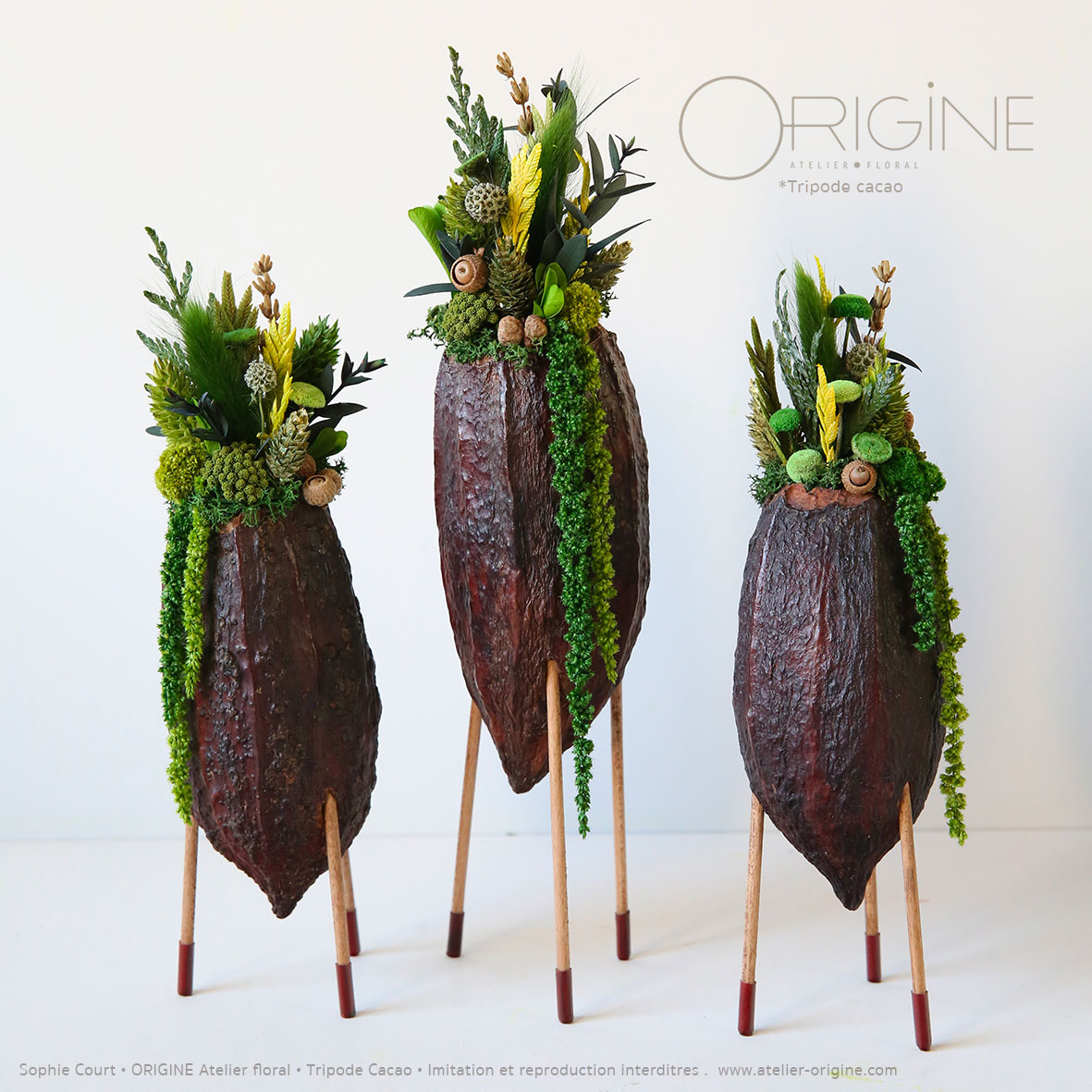 décoration-végétale-tripode-cacao-feve-de-cacao-origine-atelier-floral-sophie-court-