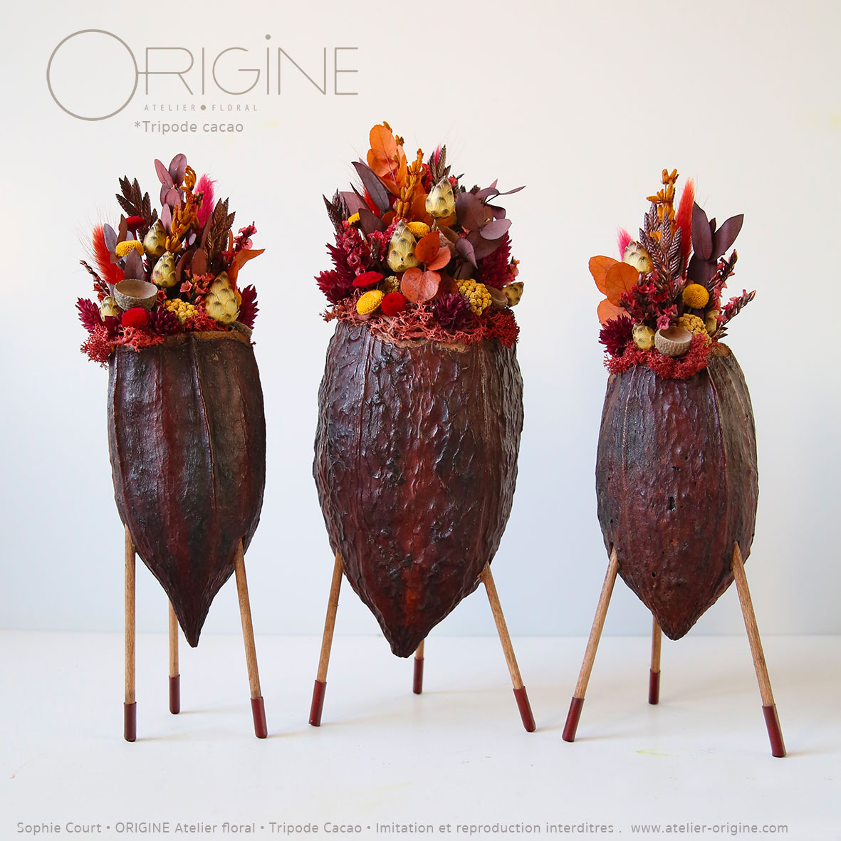 décoration-végétale-tripode-cacao-feve-de-cacao-origine-atelier-floral-sophie-court-