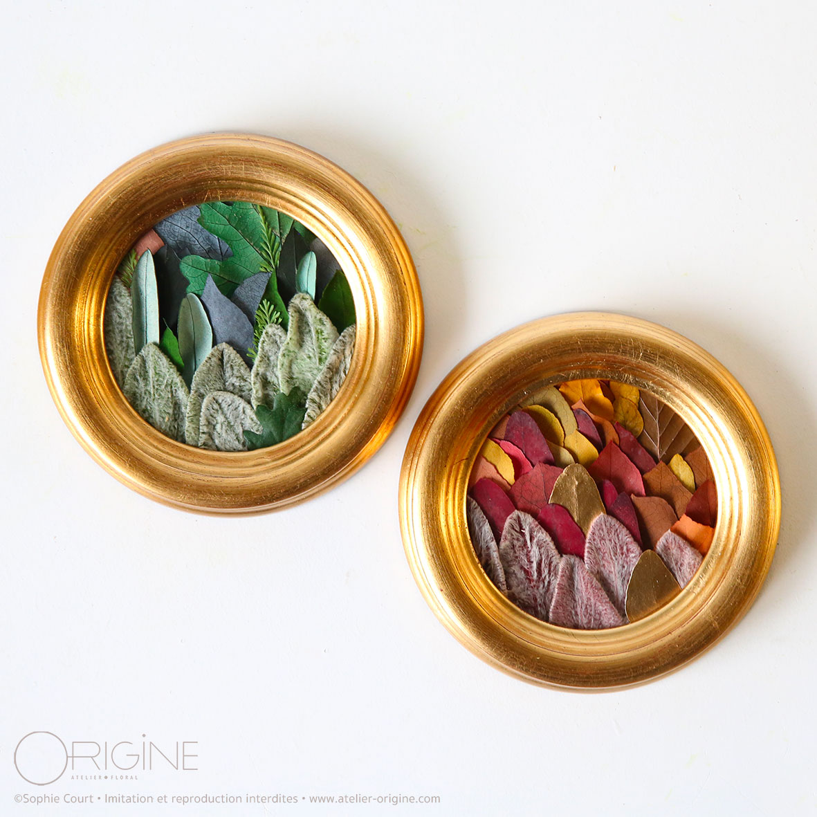 Tableaux végétaux • Leaf Forest • Moulure OR