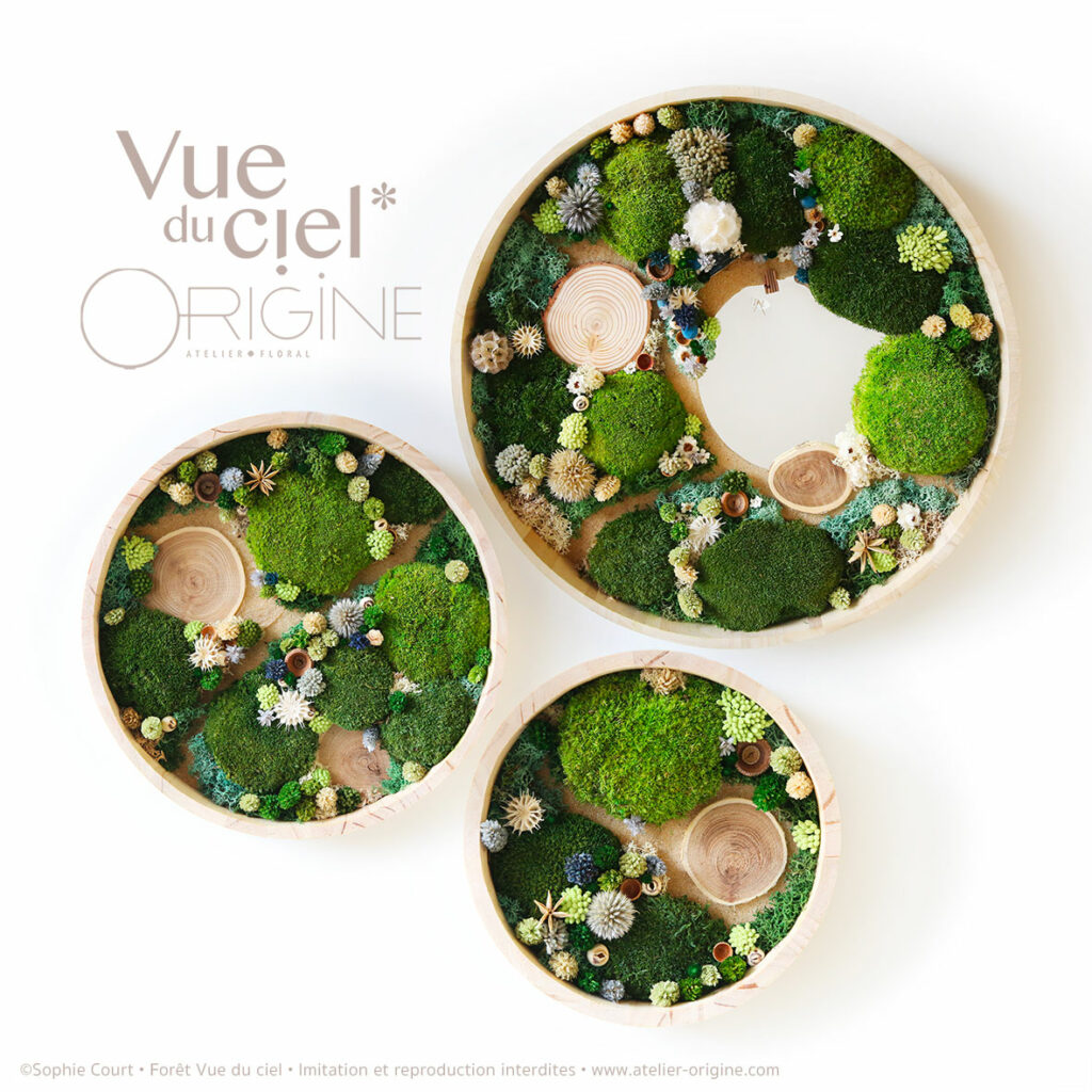 tableau-végétal-foret-vue-du-ciel-TRIO-Origine-atelier-floral-sophie-court2ok