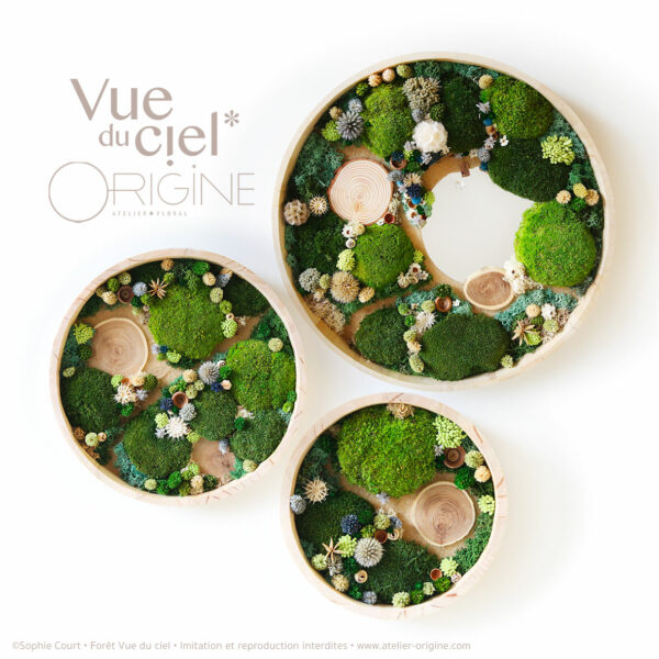 tableau-végétal-foret-vue-du-ciel-TRIO-Origine-atelier-floral-sophie-court2ok