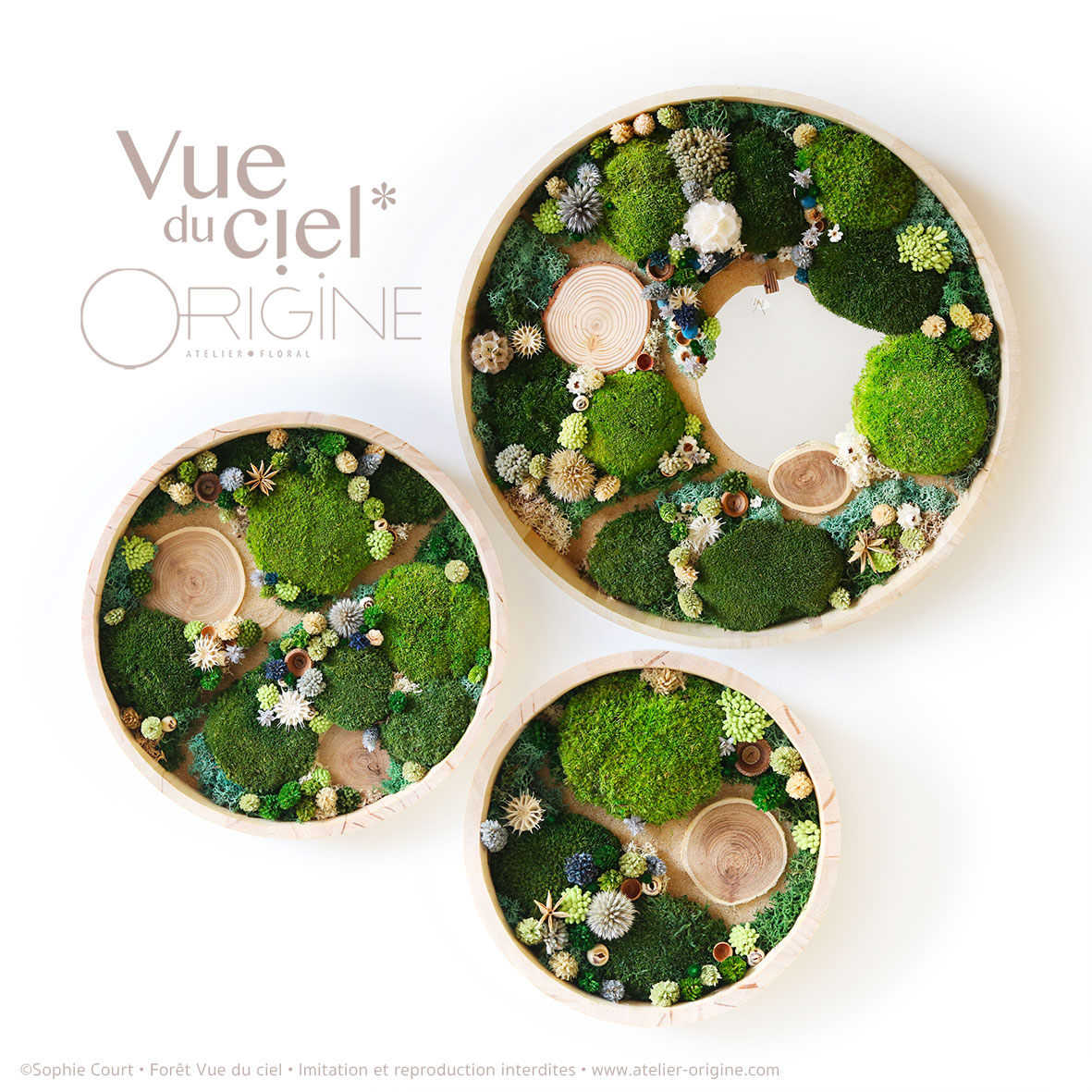 tableau-végétal-foret-vue-du-ciel-TRIO-Origine-atelier-floral-sophie-court2ok