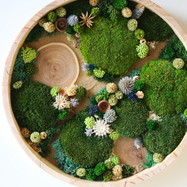 tableau-végétal-foret-vue-du-ciel-TRIO-Origine-atelier-floral-sophie-court2ok