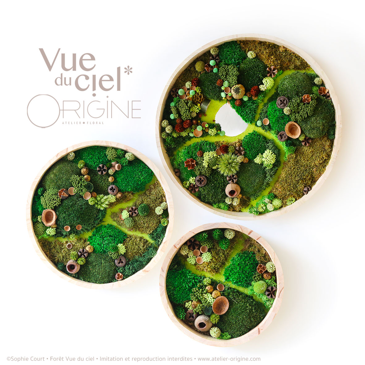tableau-végétal-foret-vue-du-ciel-TRIO-Origine-atelier-floral-sophie-court2ok