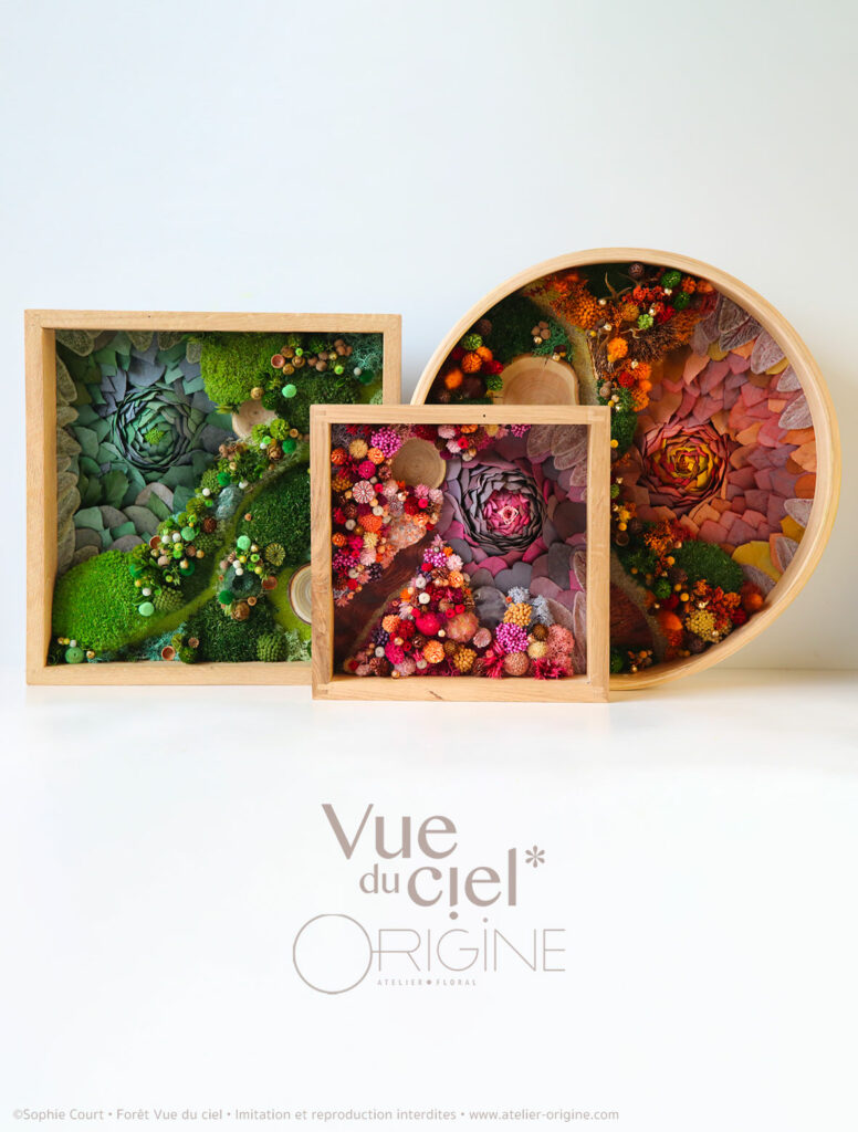 tableau-végétal-foret-vue-du-ciel-et-eruption-origine-atelier-floral-sophie-court