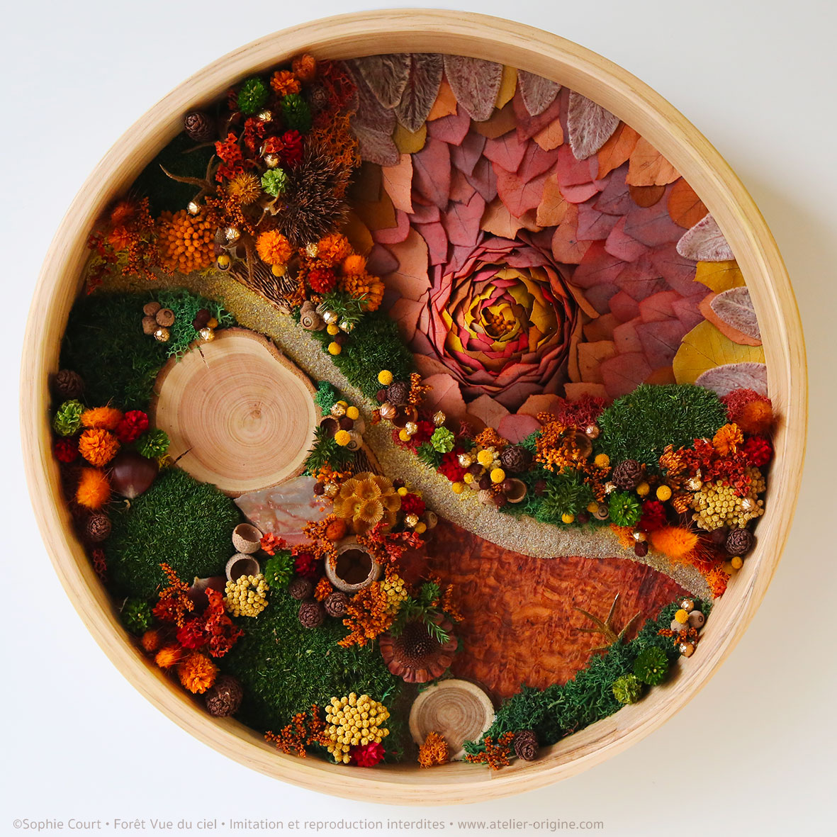 tableau-végétal-foret-vue-du-ciel-et-eruption-origine-atelier-floral-sophie-court5