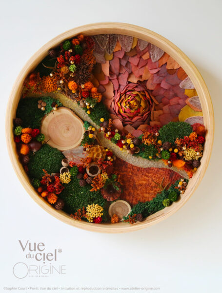 tableau-végétal-foret-vue-du-ciel-et-eruption-origine-atelier-floral-sophie-court