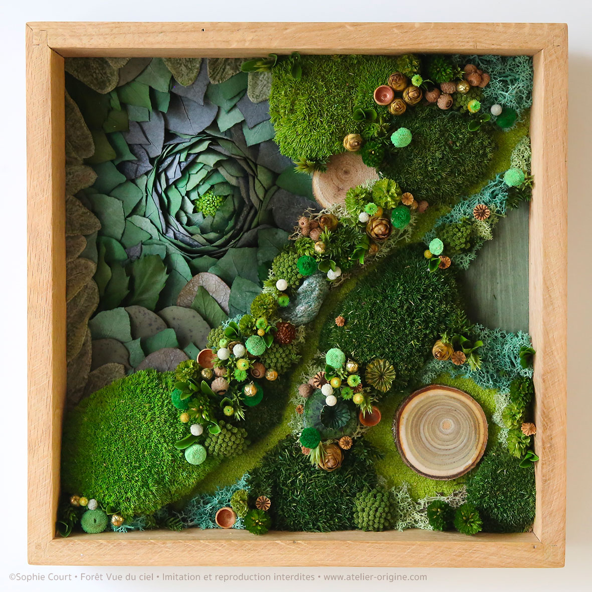 tableau-végétal-foret-vue-du-ciel-et-eruption-origine-atelier-floral-sophie-court5