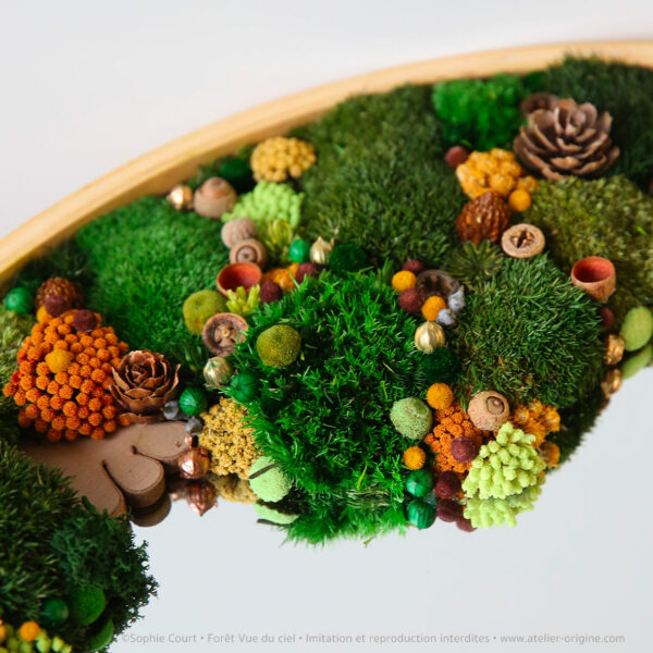 tableau-végétal-foret-vue-du-ciel-miroir-origine-atelie-floral-sophie-court