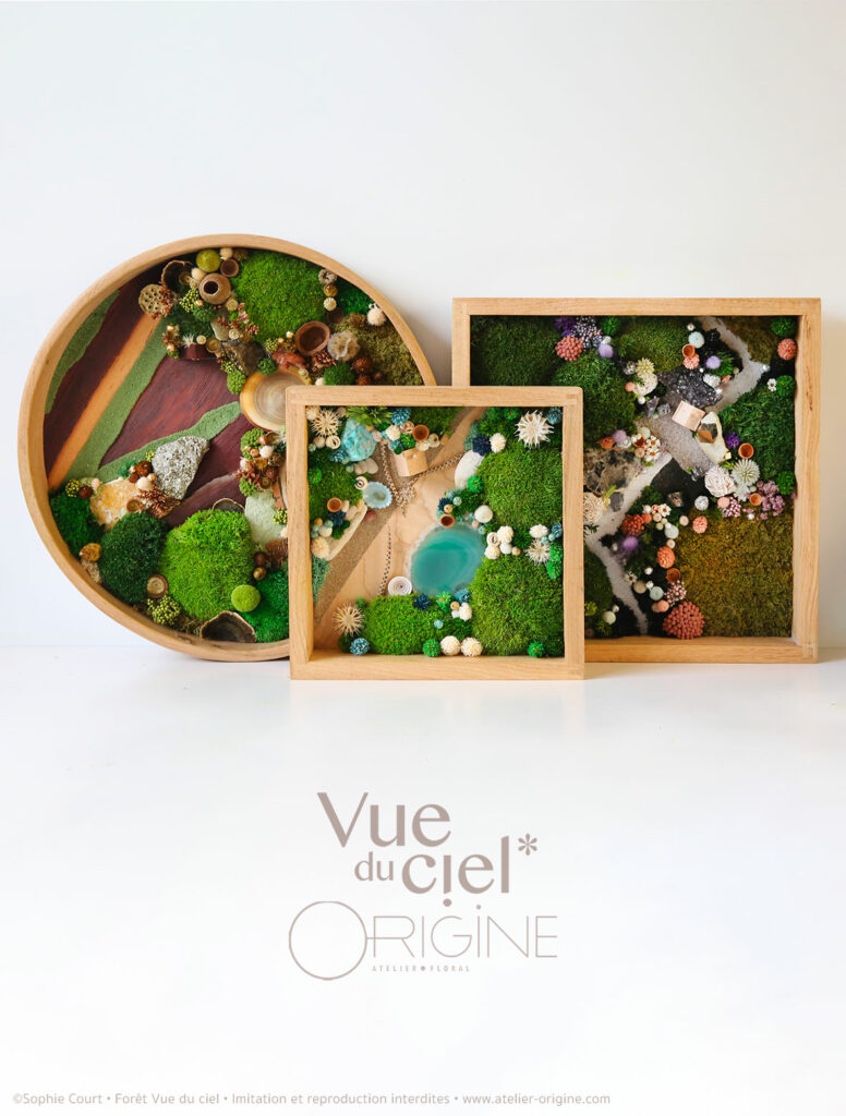 tableau-végétal-foret-vue-du-ciel-origine-atelier-floral-sophie-court