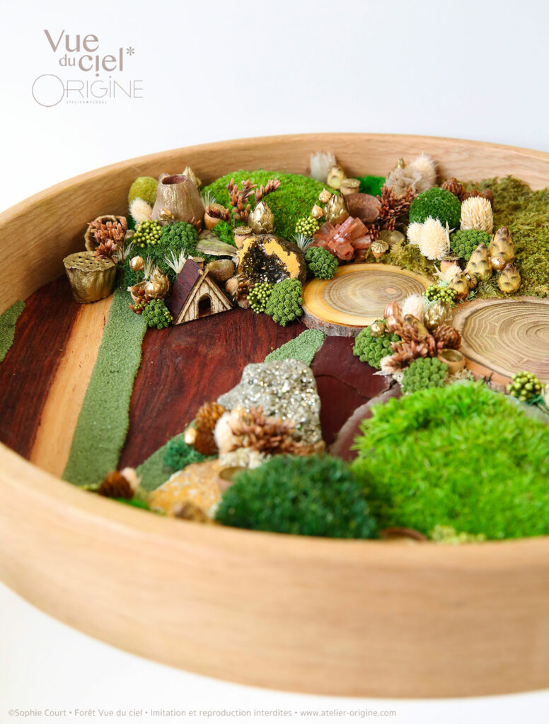 tableau-végétal-foret-vue-du-ciel-origine-atelier-floral-sophie-court