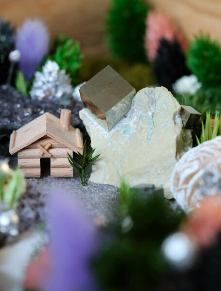 tableau-végétal-foret-vue-du-ciel-origine-atelier-floral-sophie-court