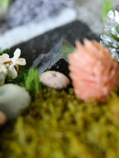 tableau-végétal-foret-vue-du-ciel-origine-atelier-floral-sophie-court