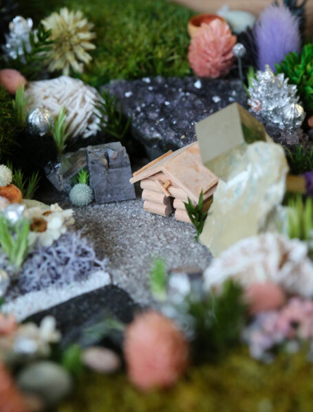 tableau-végétal-foret-vue-du-ciel-origine-atelier-floral-sophie-court