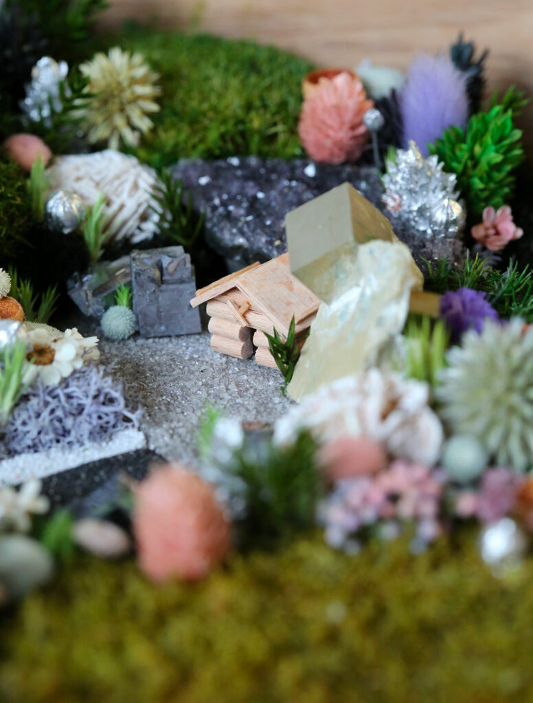 tableau-végétal-foret-vue-du-ciel-origine-atelier-floral-sophie-court