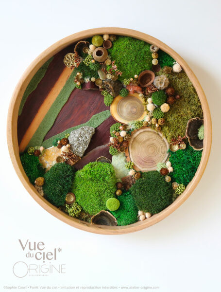 tableau-végétal-foret-vue-du-ciel-origine-atelier-floral-sophie-court