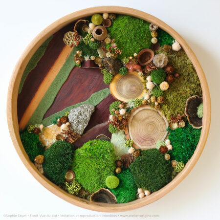 tableau-végétal-foret-vue-du-ciel-origine-atelier-floral-sophie-court3