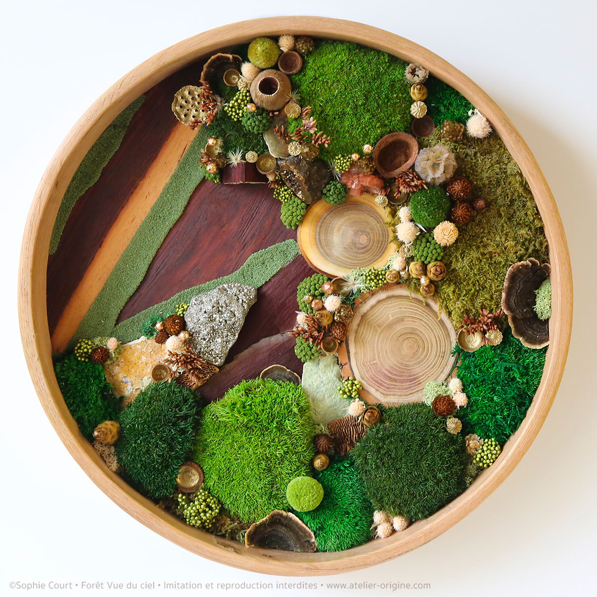 tableau-végétal-foret-vue-du-ciel-origine-atelier-floral-sophie-court3