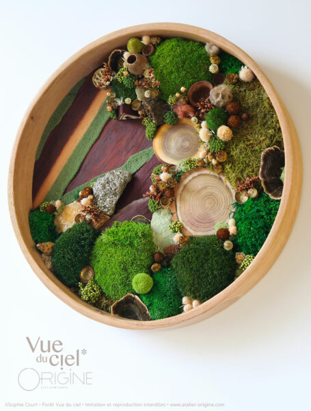 tableau-végétal-foret-vue-du-ciel-origine-atelier-floral-sophie-court